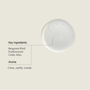 Aesop Shampoo & Conditioner Set | Hydrates. Softens. & Adds Shine