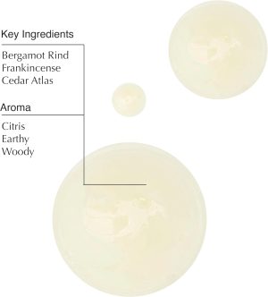 Aesop Geranium Leaf Body Cleanser and Shampoo