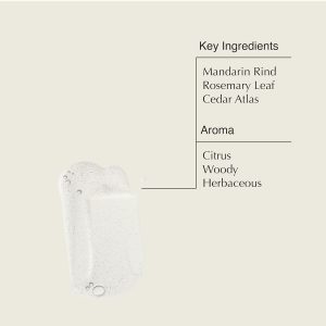 Aesop Resurrection Aromatique Hand Soap. Geranium Leaf Body Wash