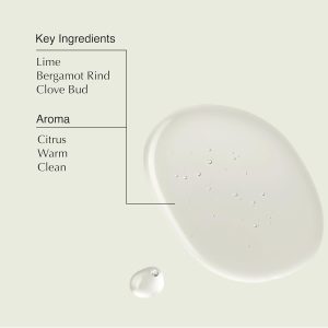 Aesop Sculpt Hair Polish