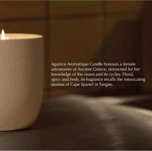 Aesop Aganice Aromatique Candle | Floral. Spicy. Fresh Scented
