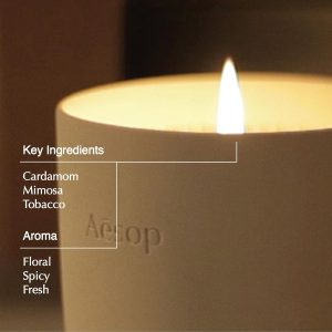 Aesop Aganice Aromatique Candle | Floral. Spicy. Fresh Scented