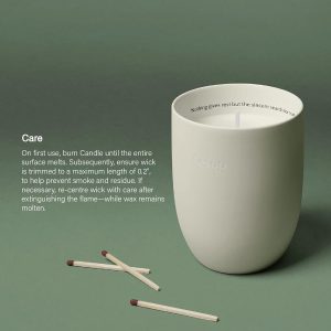 Aesop Callippus Aromatique Candle | Woody. Earthy. Green Scented