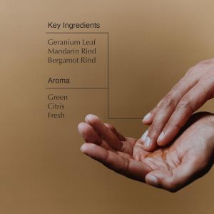 Aesop Geranium Leaf Body Cleanser Refill